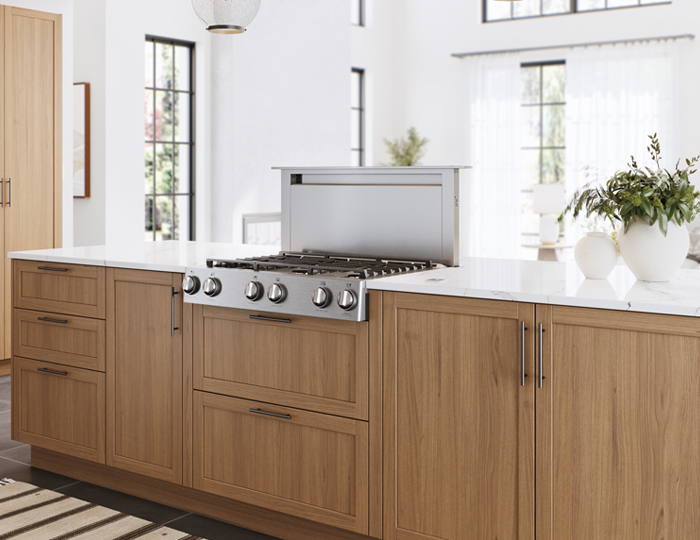 Treviso Downdraft Kitchen Hood (ZTV-E30AS, ZTV-E36AS)