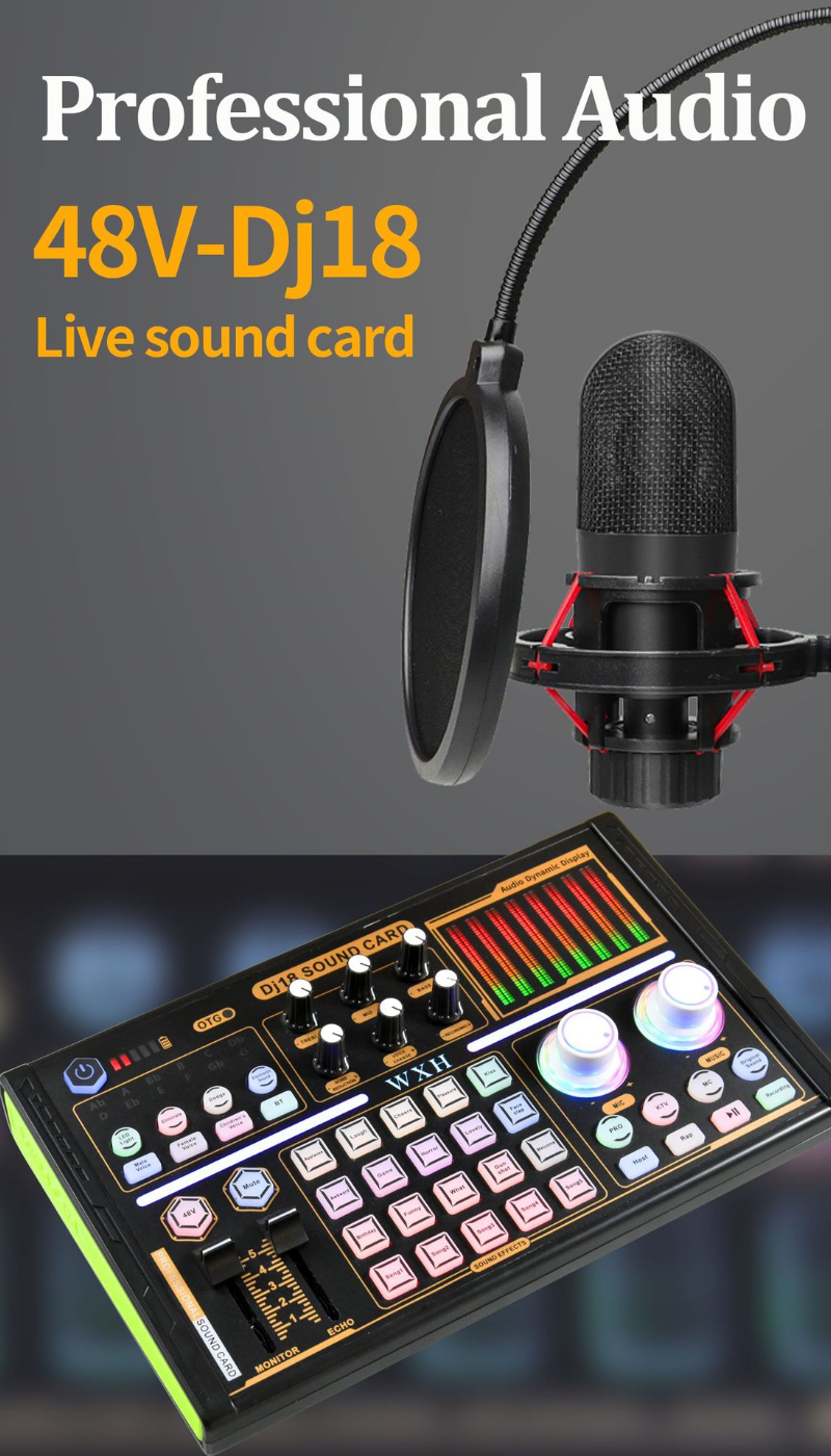Hot Condenser Microphone BM 800 Wireless DJ18 Sound Card for