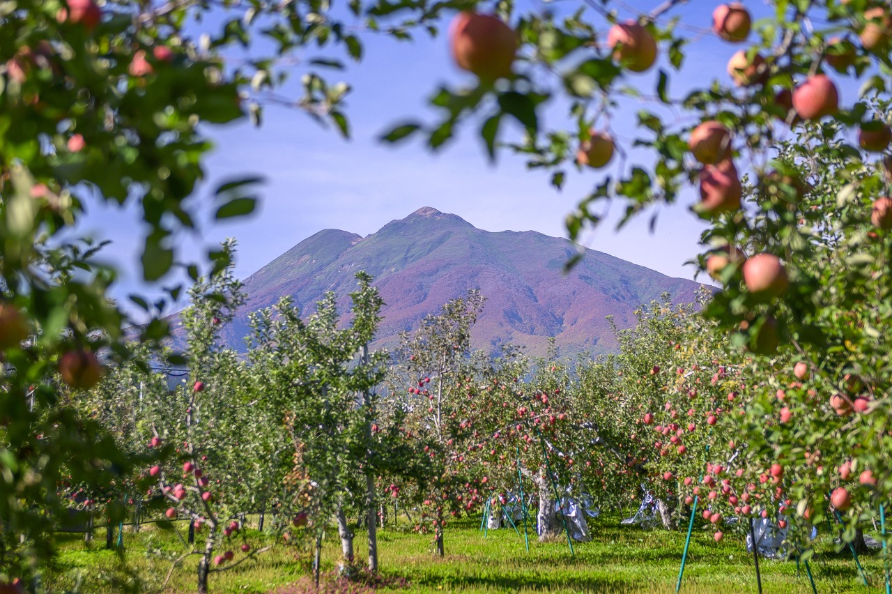 岩木山｜スポット・体験｜【公式】青森県観光情報サイト Amazing AOMORI