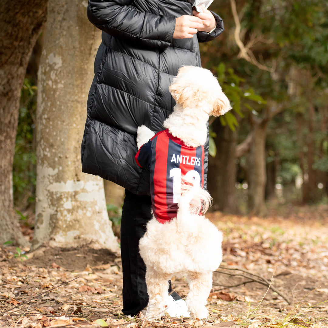 26オリジナルネームドッグユニフォーム【受注】 – 鹿島アントラーズFC