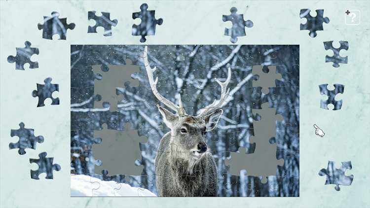 Animals in Snow for Nintendo Switch - Nintendo Official Site for