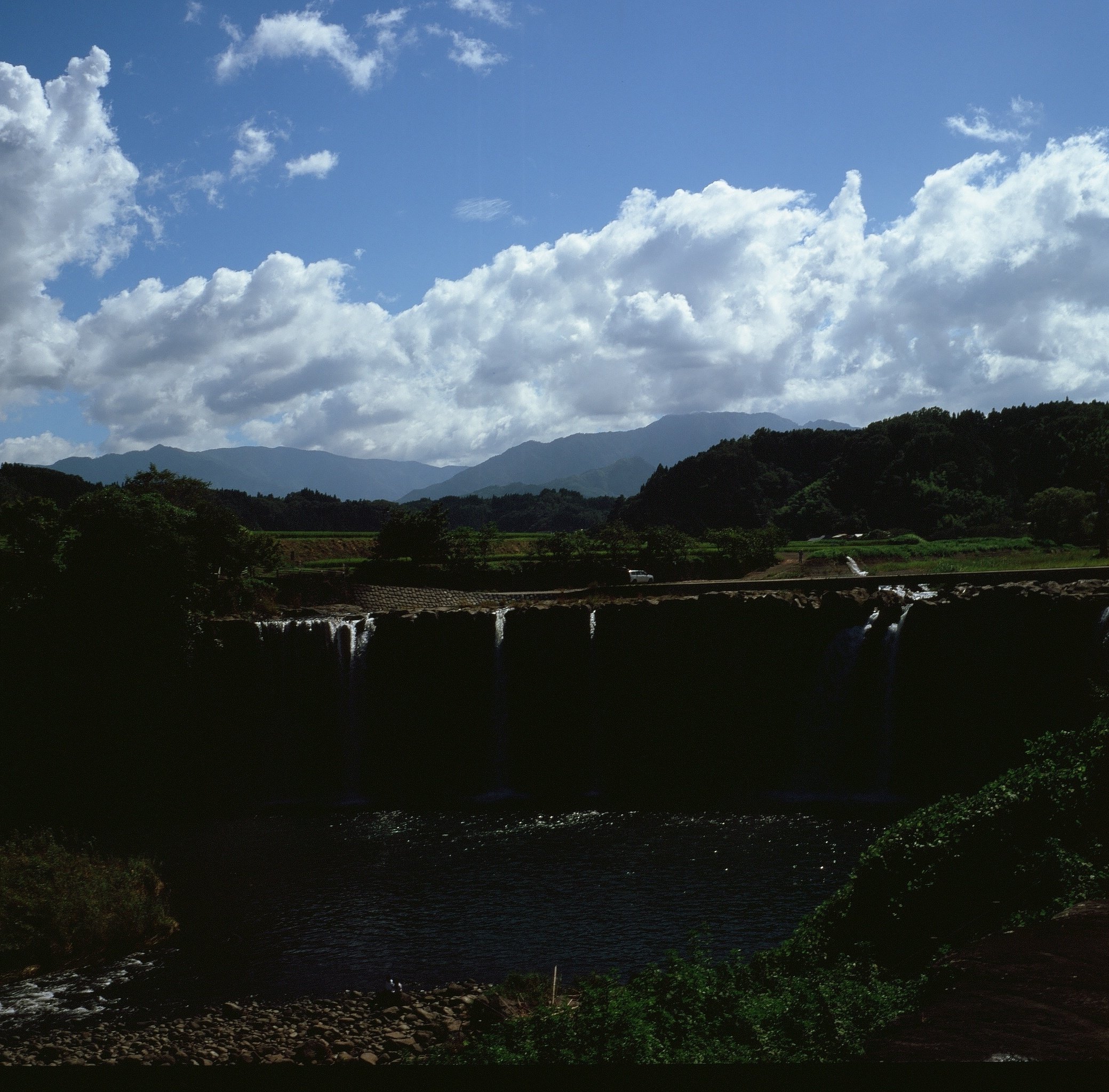 PROVIA100F】10年期限切れフィルムを使ってみる｜RURI