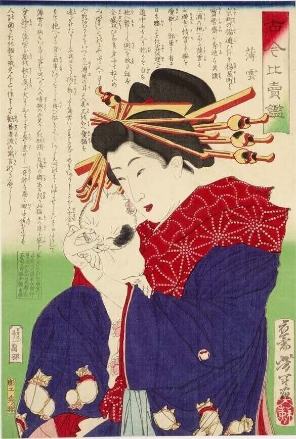 月岡芳年の猫がカワイイという話｜太田記念美術館