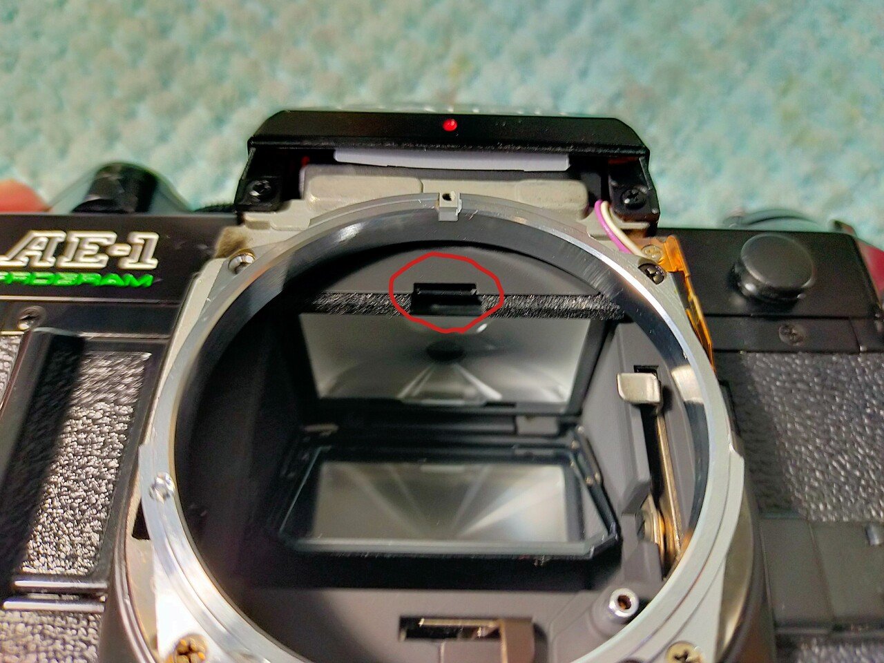 Canon AE-1 PROGRAMの分解｜フィルムカメラ修理のアクアカメラ