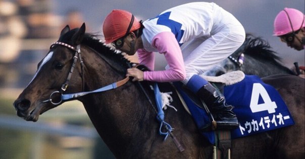 My Favorite 宝塚記念 （1977年 トウショウボーイ） 〜競馬観戦人生