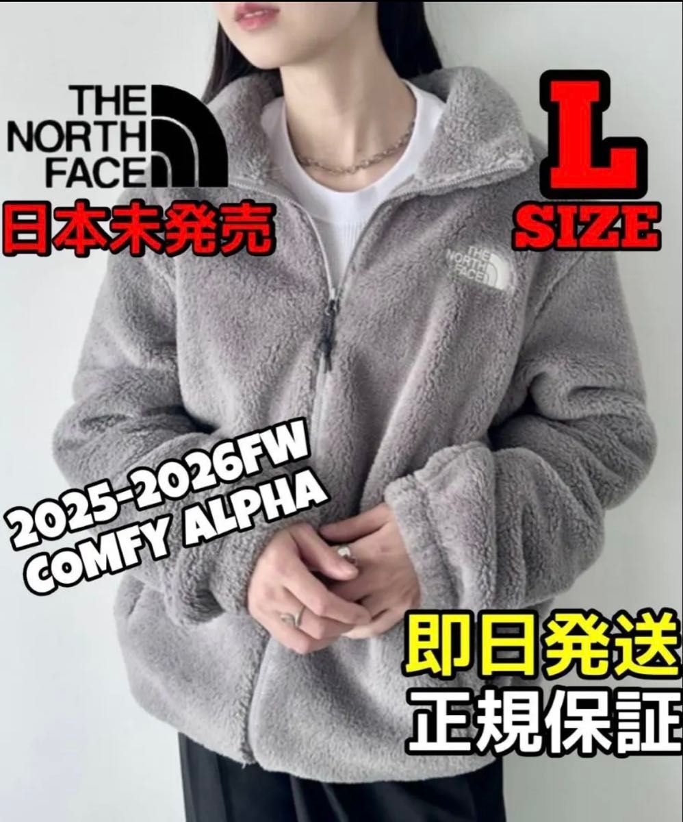 新品未使用 期間限定SALE 韓国限定 ノースフェイス ボア フリース