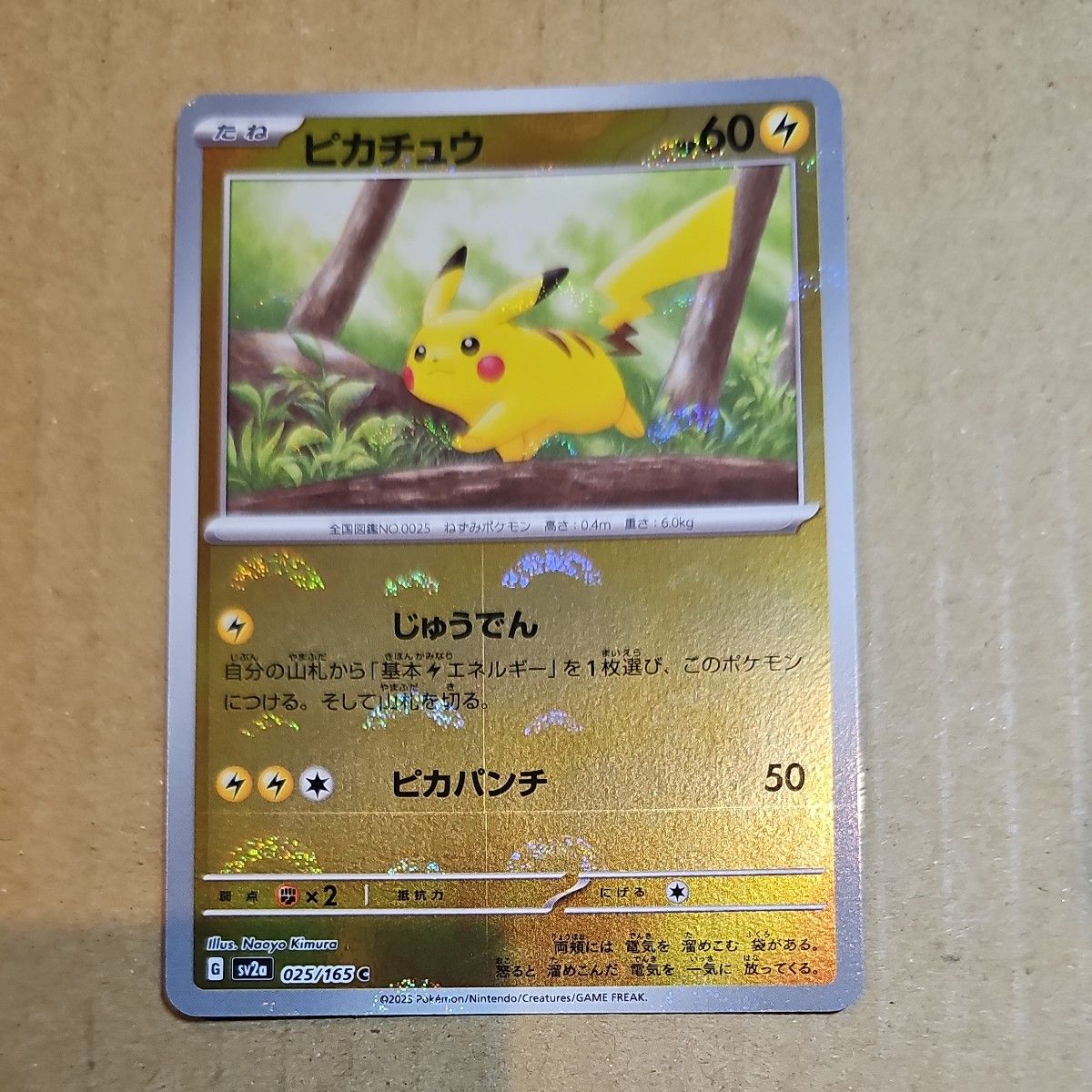 ポケモンカード ピカチュウ AR PSA10 鑑定品 SV2a GEM MT 10 173/165