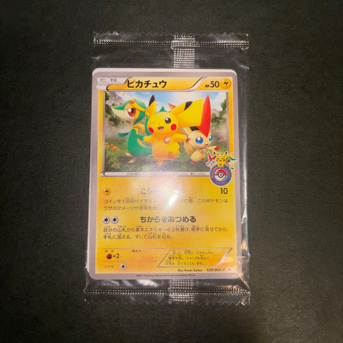 未開封 台北 の ピカチュウ タイペイ 台北 ポケモンセンター Taipei