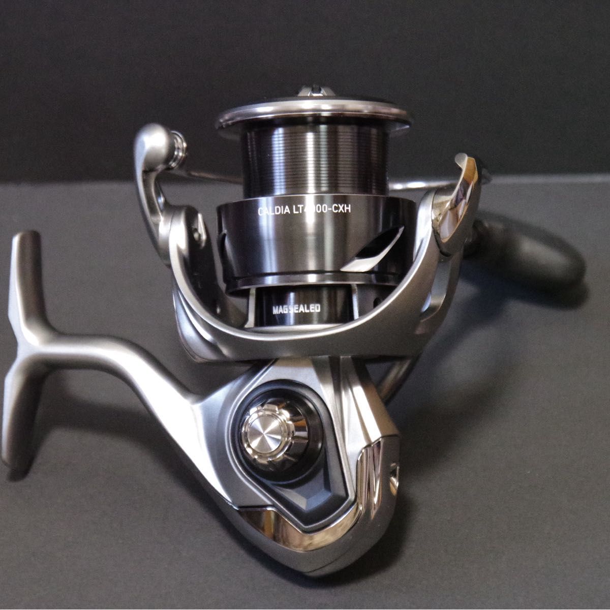 25CALDIA LT4000-CXH 25カルディア ダイワ DAIWA スピニングリール