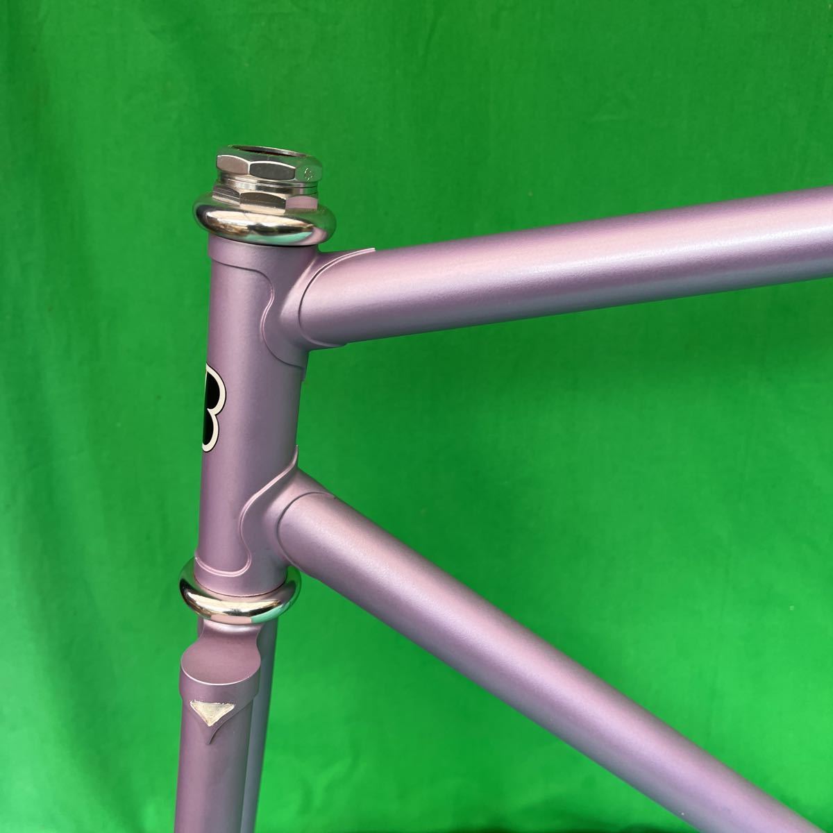 ピストフレーム BRIDGESTONE NJS 54cm リアエンド110 競輪