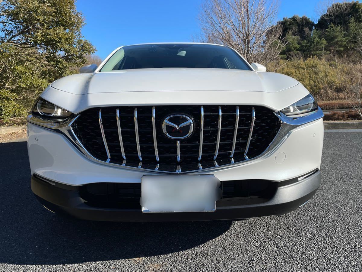 Yahoo!オークション - MAZDA CX-30 未使用品 バーチカルグリル 9本ライ