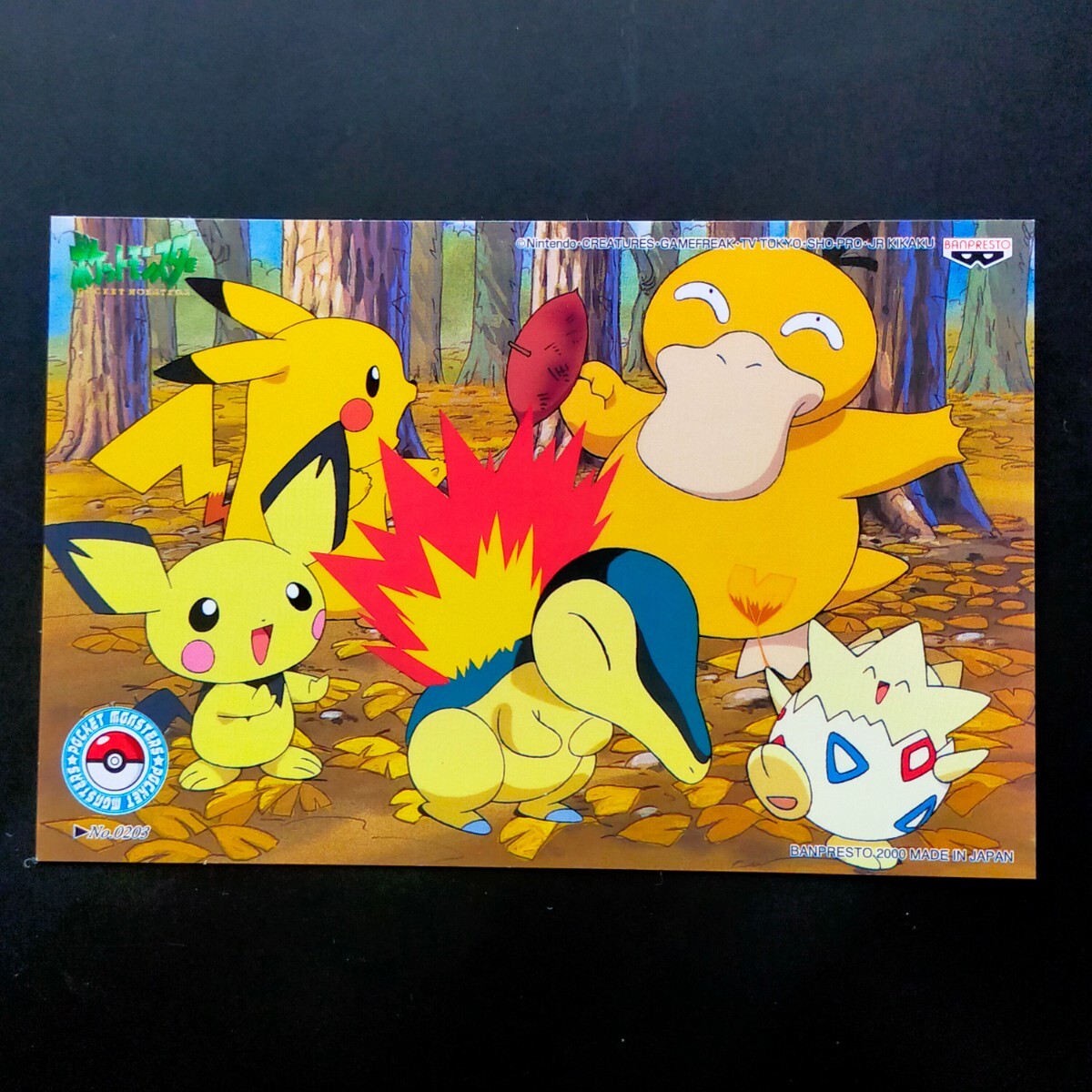 Yahoo!オークション - 焼き芋 ポケモン ポストカード バンプレスト キ