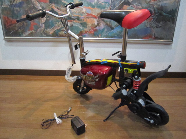未使用 展示品 Electric RIDER エレクトリックライダー 電動モーター