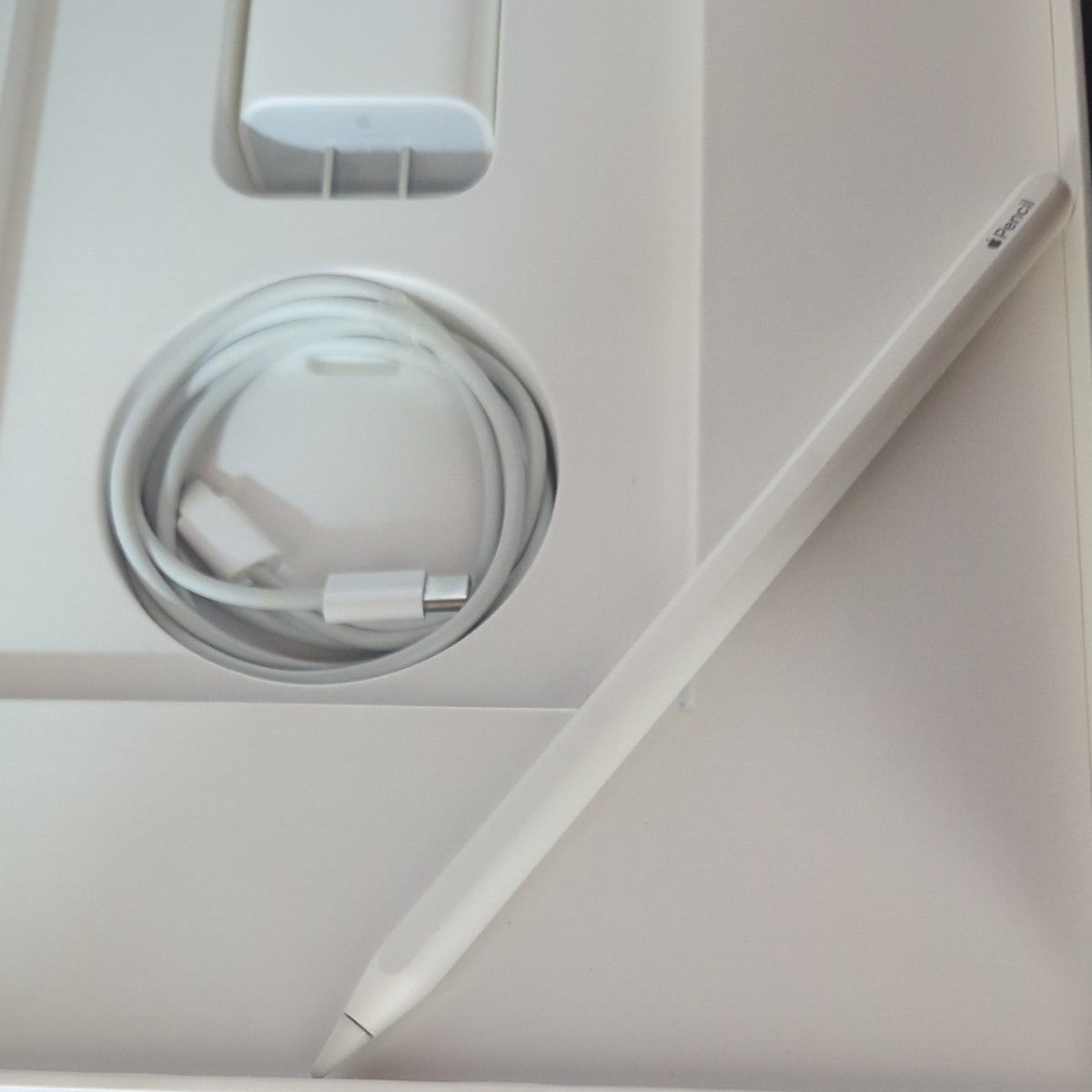 iPad Pro 12 9インチ 1TB 第5世代 Wi-Fi ＋ Cellular Apple Pencil2