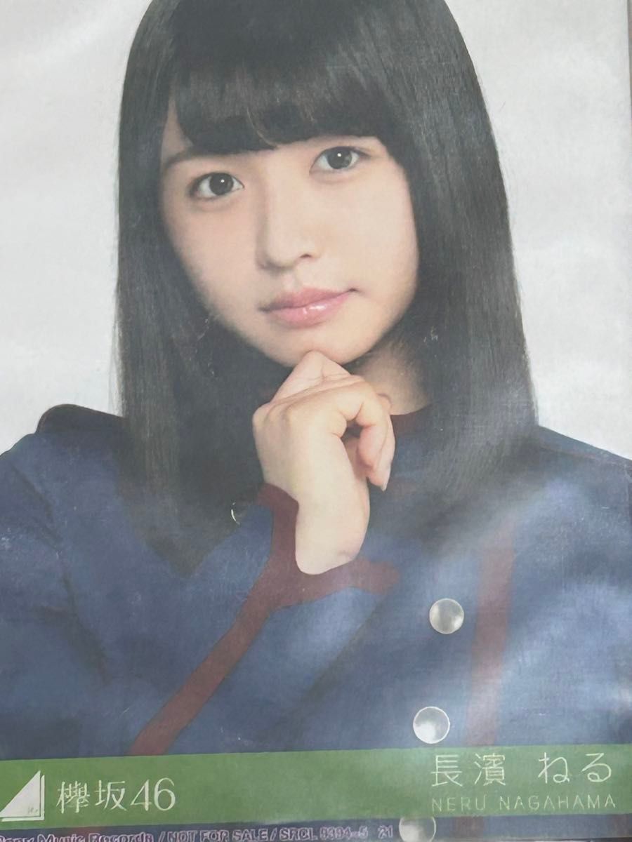 欅坂46 (櫻坂46)長濱ねる 不協和音 コンプ｜Yahoo!フリマ（旧PayPay