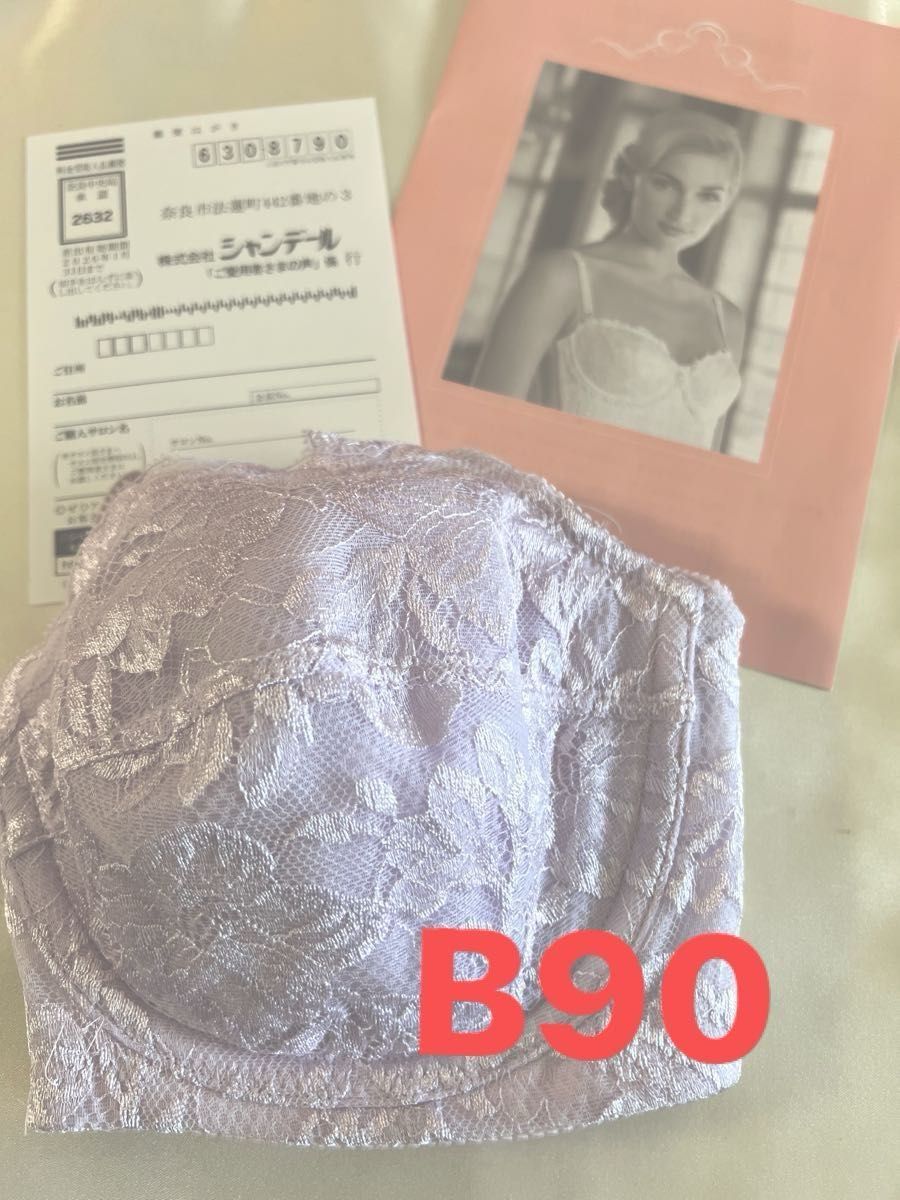 シャンデールベルピエゾメッシュブラジャーB90 ピンク系ピオニー
