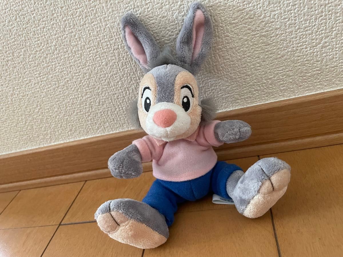 東京ディズニーランド スプラッシュマウンテン クリッターカントリー