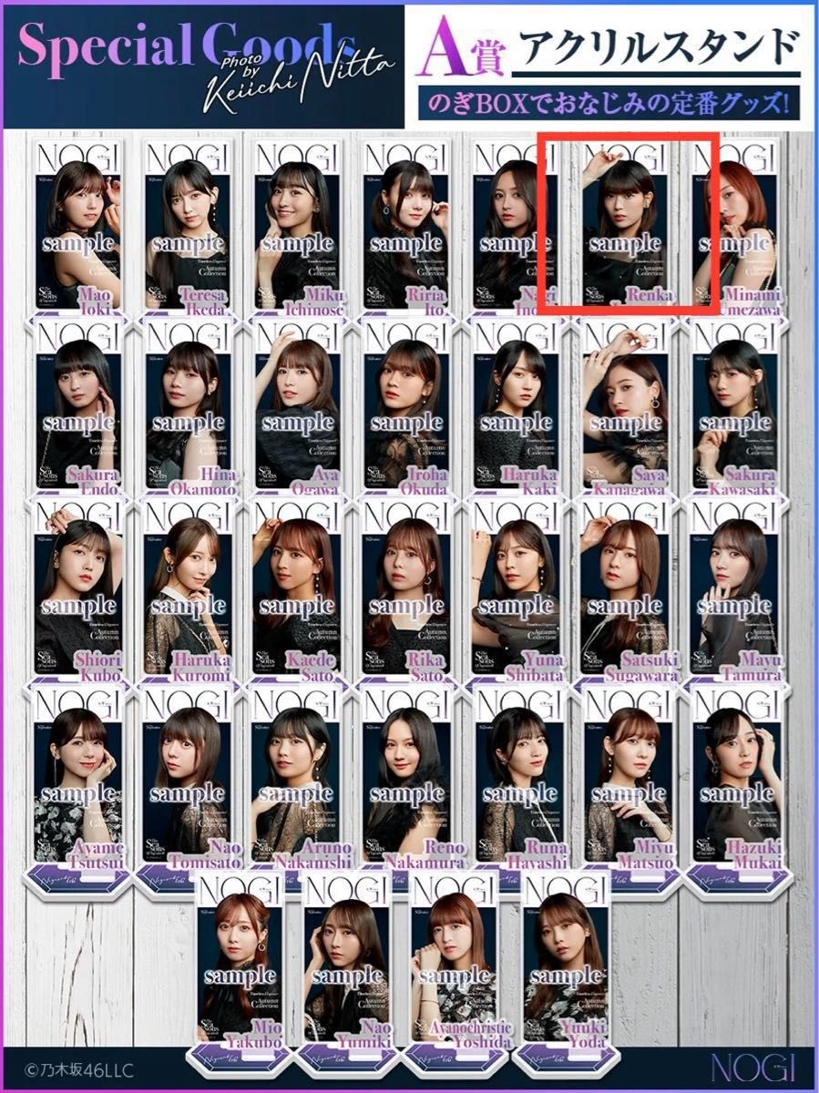 乃木坂46 岩本蓮加 グッズセット / のぎBOX【NOGI A/W 2024】 写真集