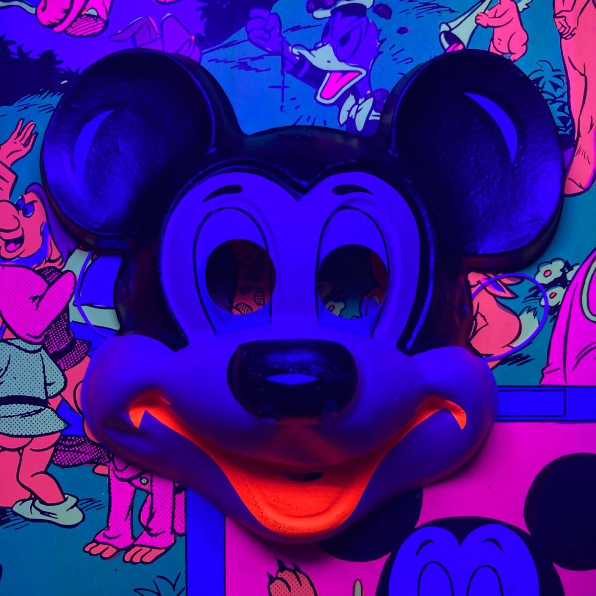 ビンテージ Disneyland Memorial Orgy ディズニーランドメモリアル