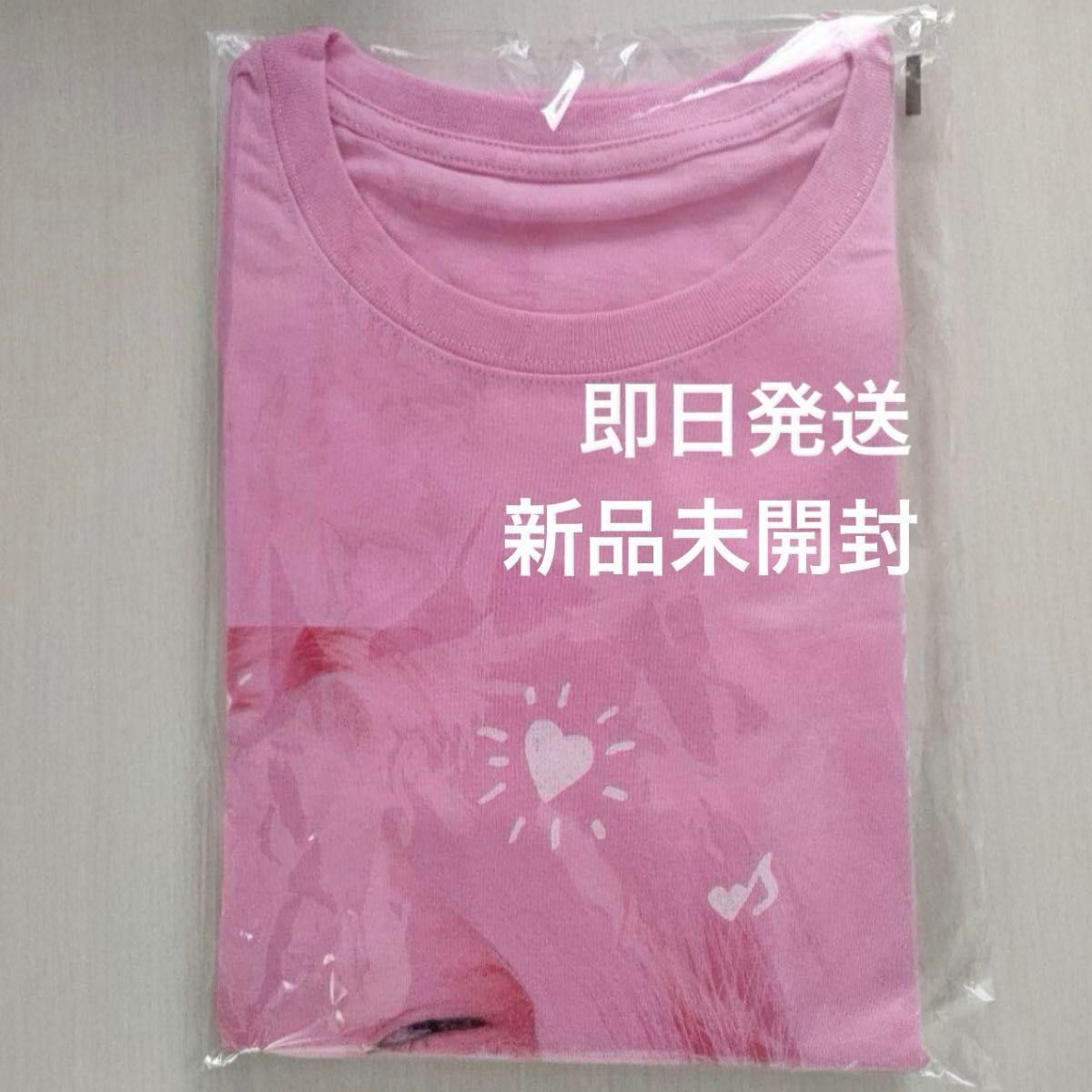 ちゃんみな 限定Tシャツ AREA OF DIAMOND 3 ライブ グッズ