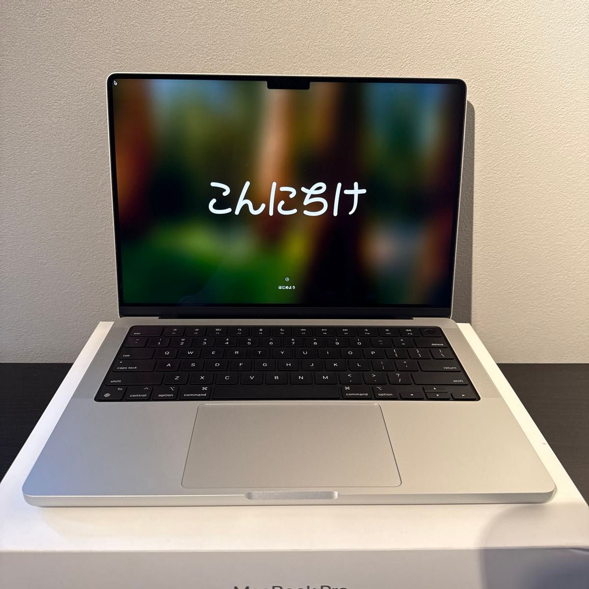 極美品 Apple M4 MacBook Pro 14インチ 24GB 1TB シルバー US