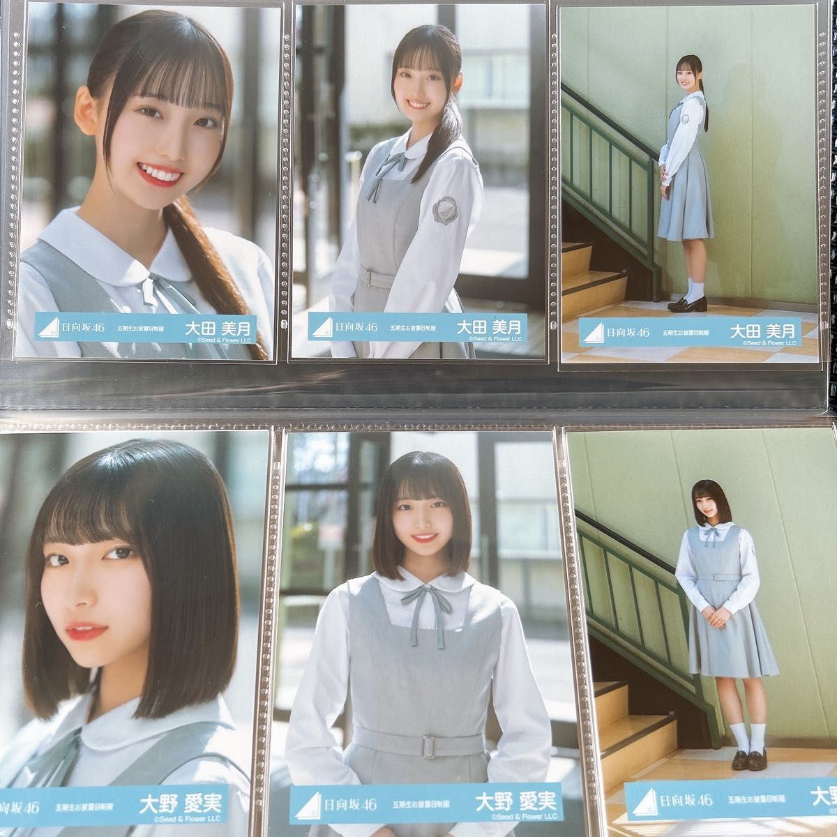 日向坂46 生写真 5期生お披露目衣装 全メンバーフルコンプ｜Yahoo