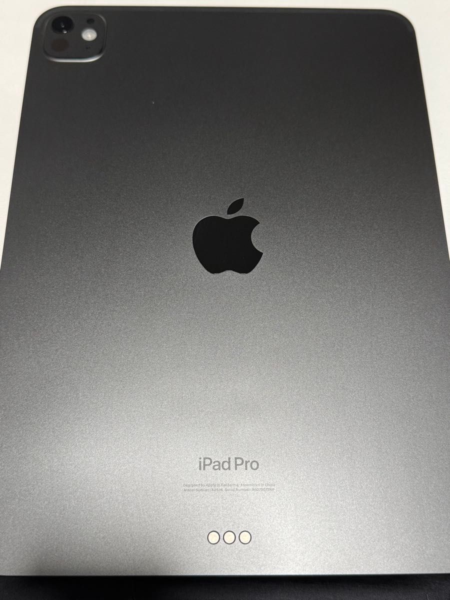 最新 美品 iPad Pro 11インチ M4 256GB スペースグレー sku11｜Yahoo