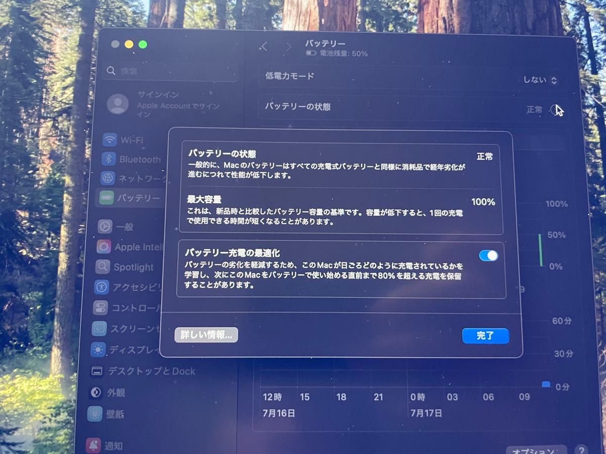MacBook Air m3 8GB 256GB JIS バッテリー最大容量100%｜Yahoo!フリマ