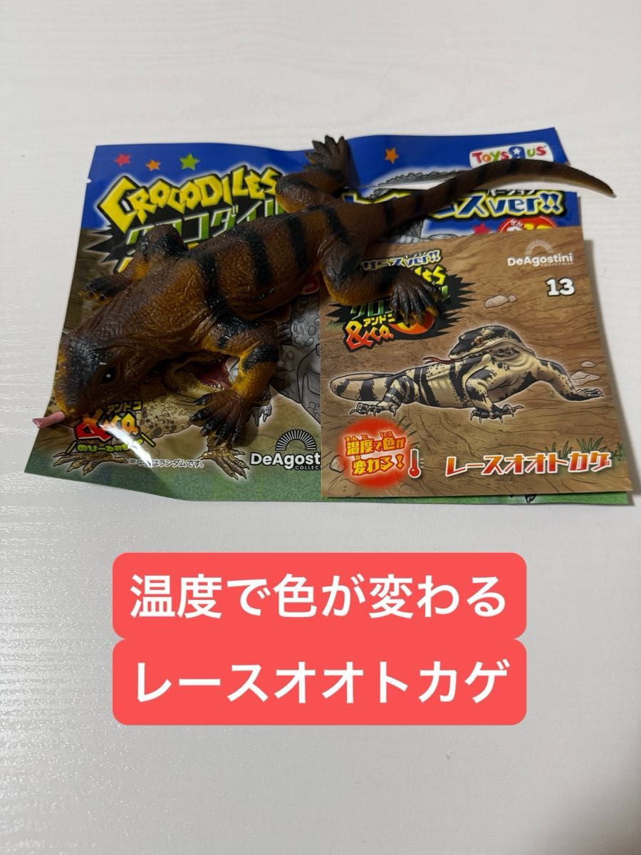 デアゴスティーニ トイザらス限定 クロコダイル&co レースオオトカゲ