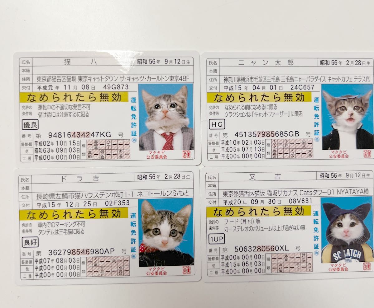 なめ猫 なめねこ 免許証 イエロー 4枚セット 猫八 ニャン太郎 又吉