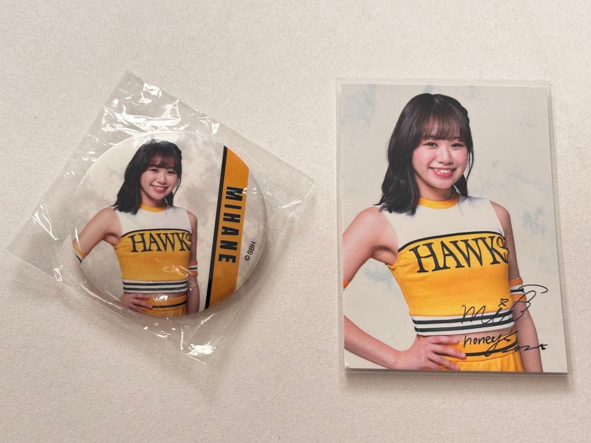 新品 福岡ソフトバンクホークス ハニーズ MIHANE ミハネ 缶バッジ 若鷹