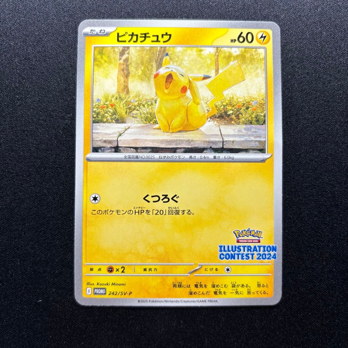 ポケモンカード プロモカード イラストレーションコンテスト 2024 受賞
