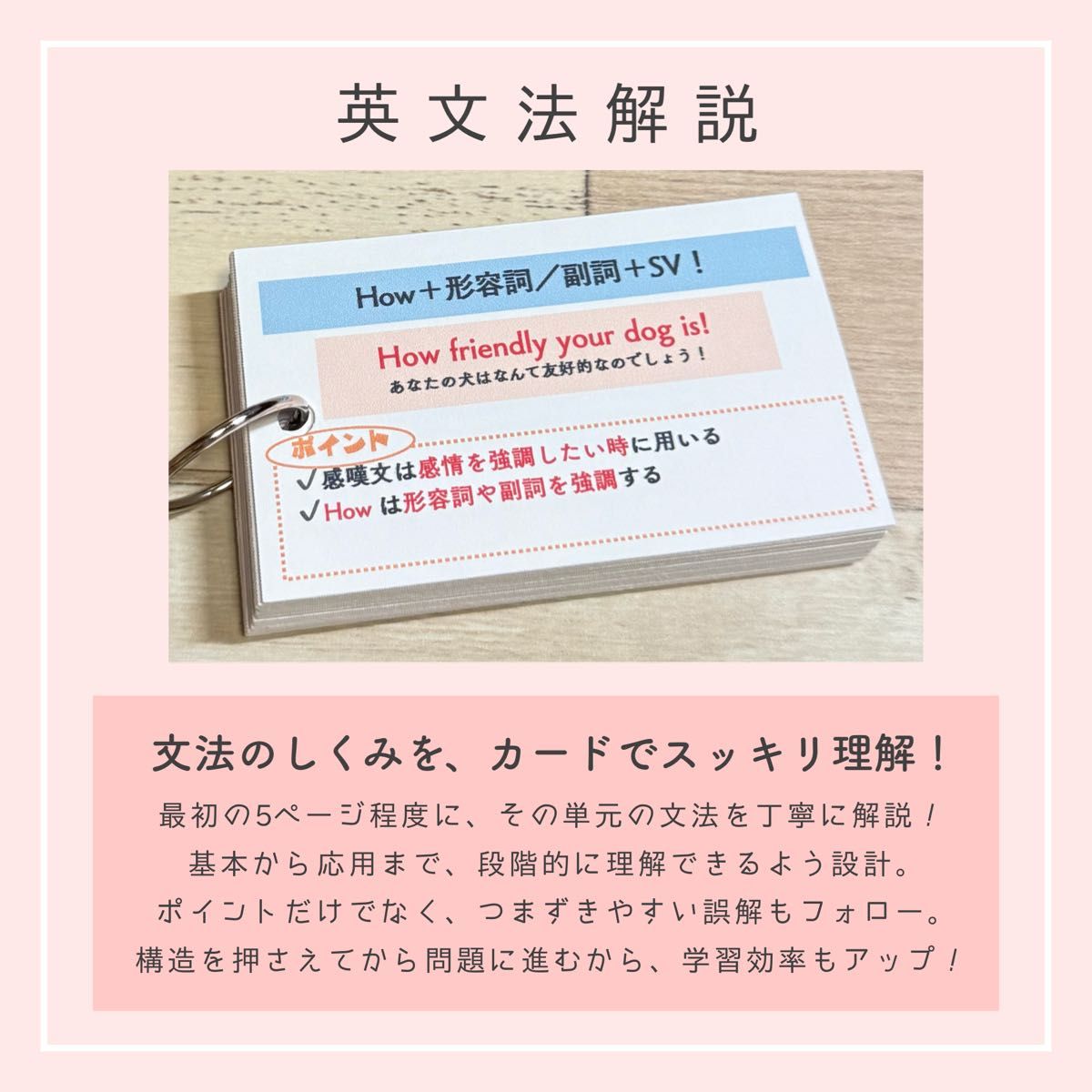 感嘆文】単元別英文法カード 中学生 テスト 復習 予習 試験 参考書 英