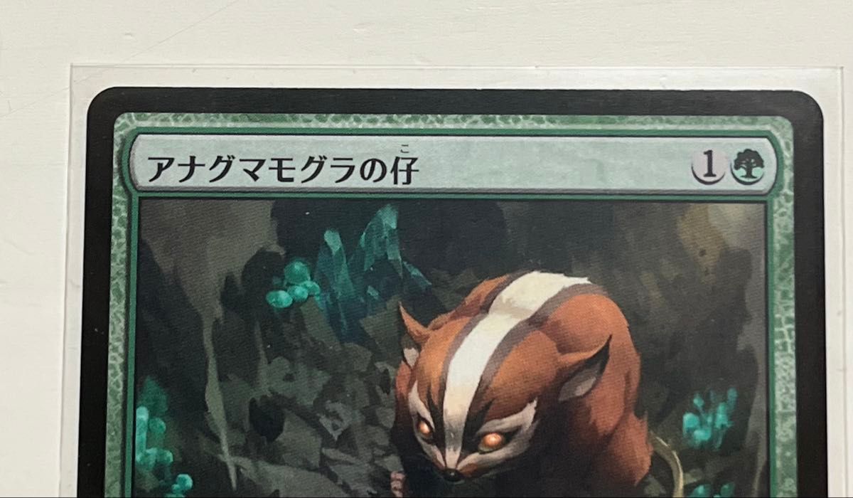 MTG アバター伝説の少年アン アナグマモグラの仔 日本語 マジックザ
