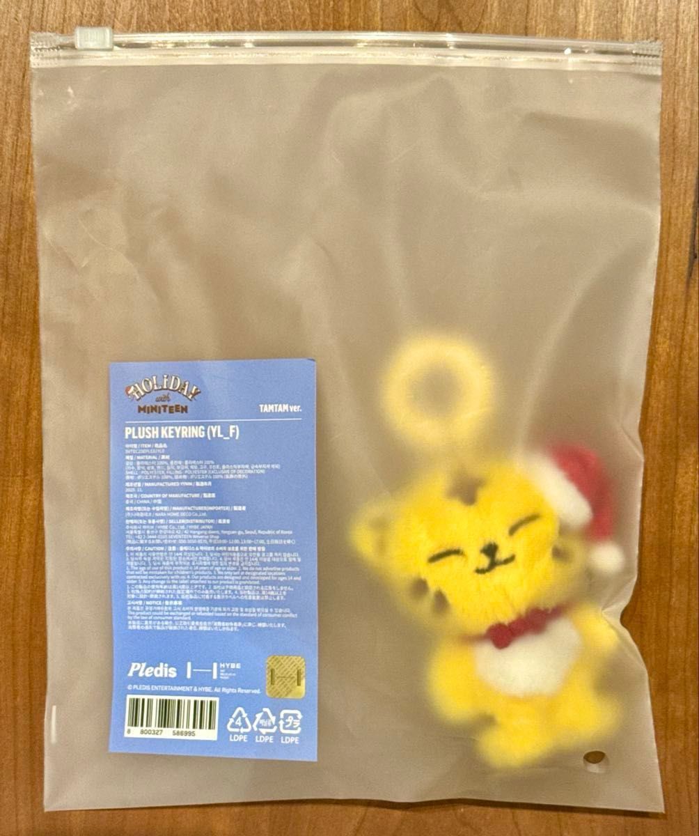 公式 新品未開封 SEVENTEEN MINITEEN ミニティーン ホリデー