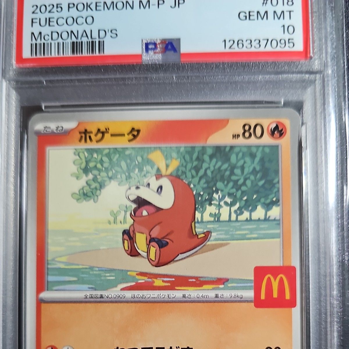 PSA10 ホゲータ マクドナルド プロモ ポケモンカード 2025 M-P JP