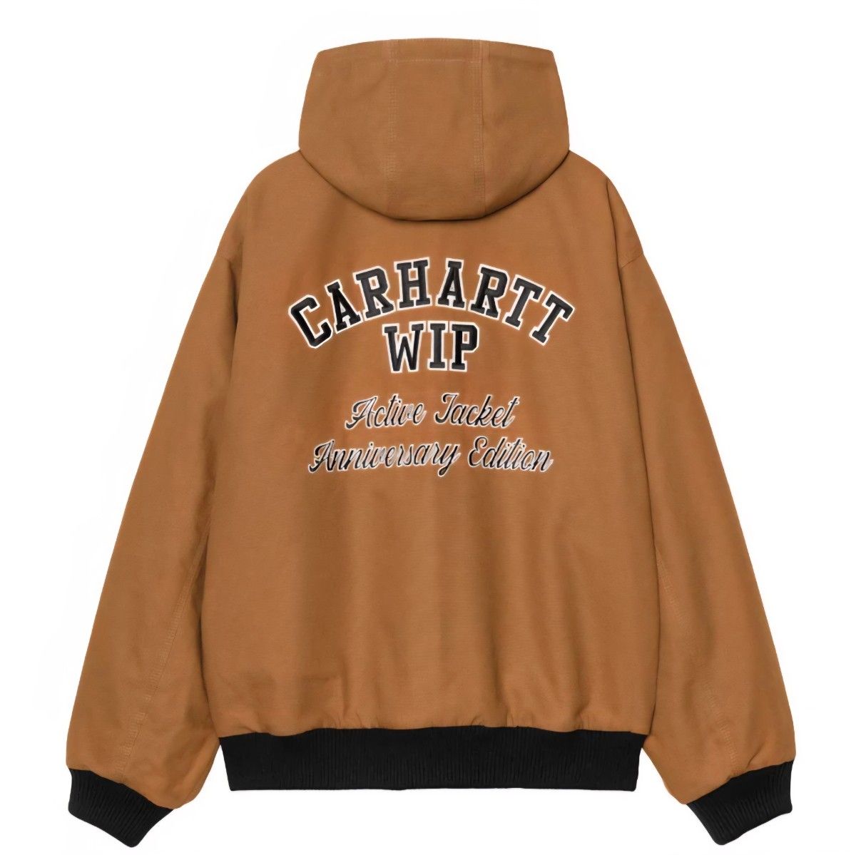 定価33万】Carhartt WIP OG Active Jacket 50周年 カーハート レザー