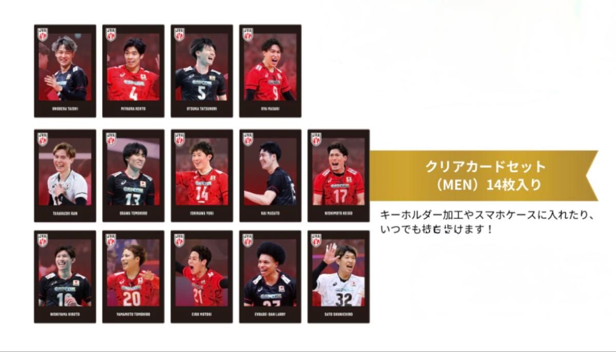 バレーボール 男子日本代表 男子バレー 福袋 2026 クリアカードセット
