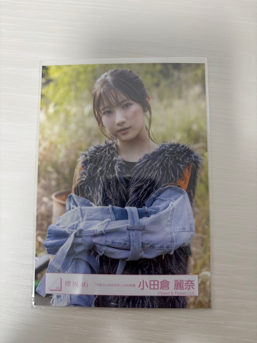 櫻坂46 木枯らしは泣かない MV衣装 生写真 小田倉麗奈 コンプ｜Yahoo