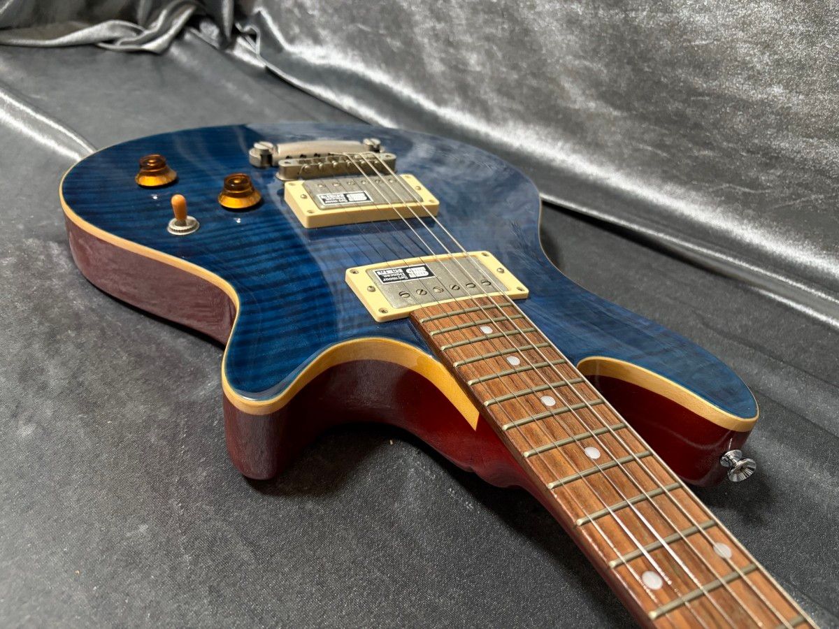 EDWARDS E-PO-100D ポットベリー ESP直系ブランド Seymour Duncan
