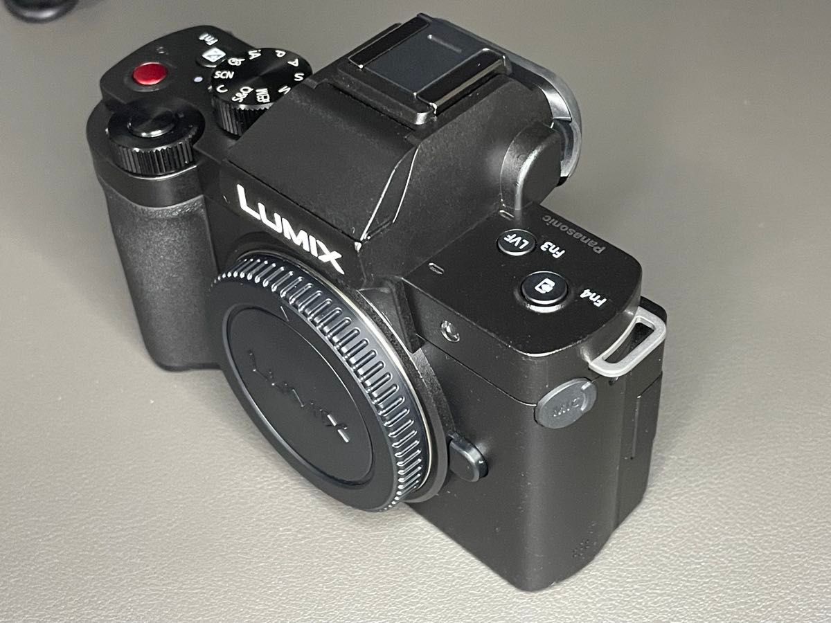 Panasonic LUMIX G100D ボディ 美品｜シャッター3828回 バッテリー計3