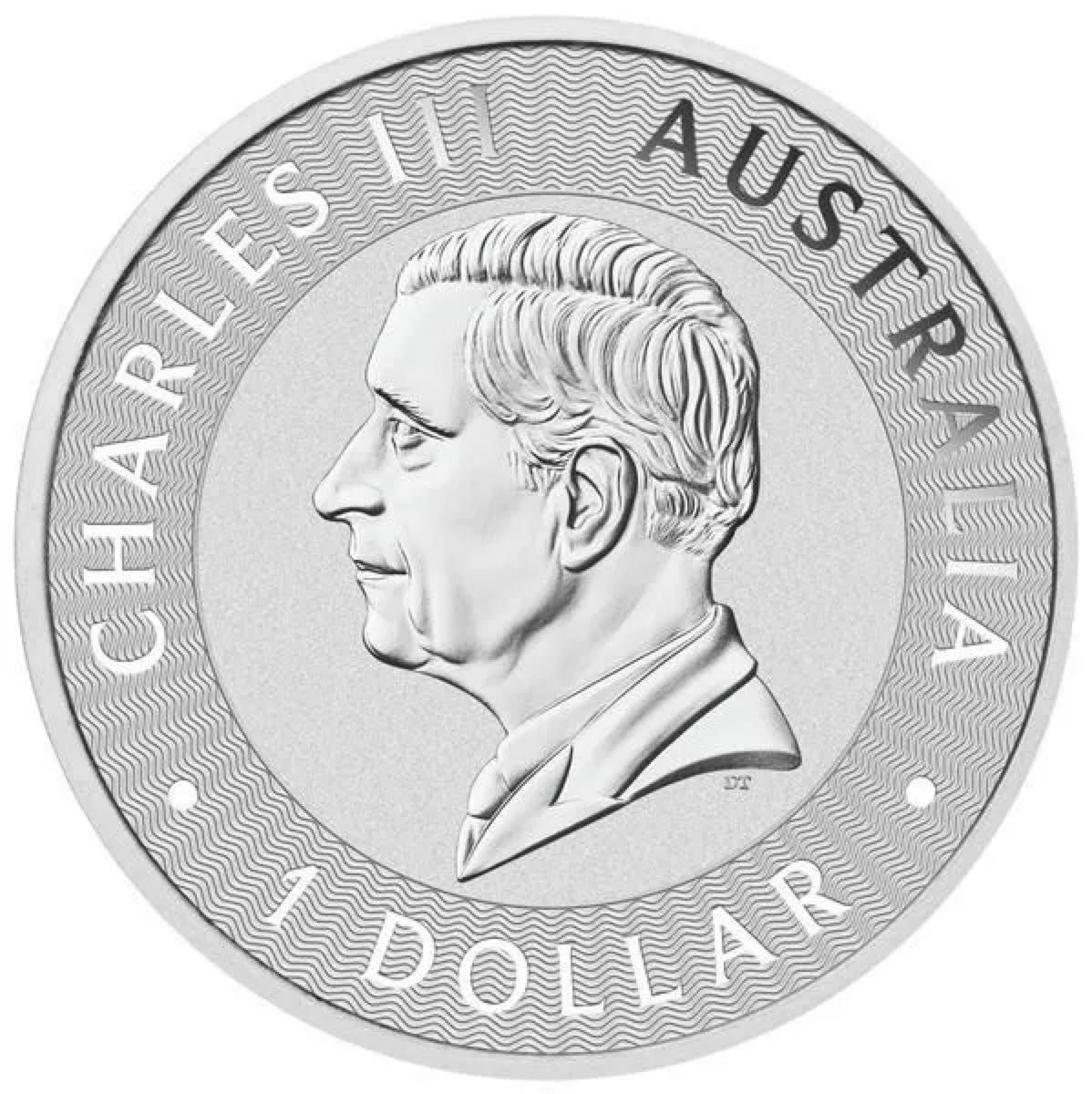 最終入荷 2026発行 カンガルー 1oz 1オンス 銀貨 純銀 硬質カプセル付