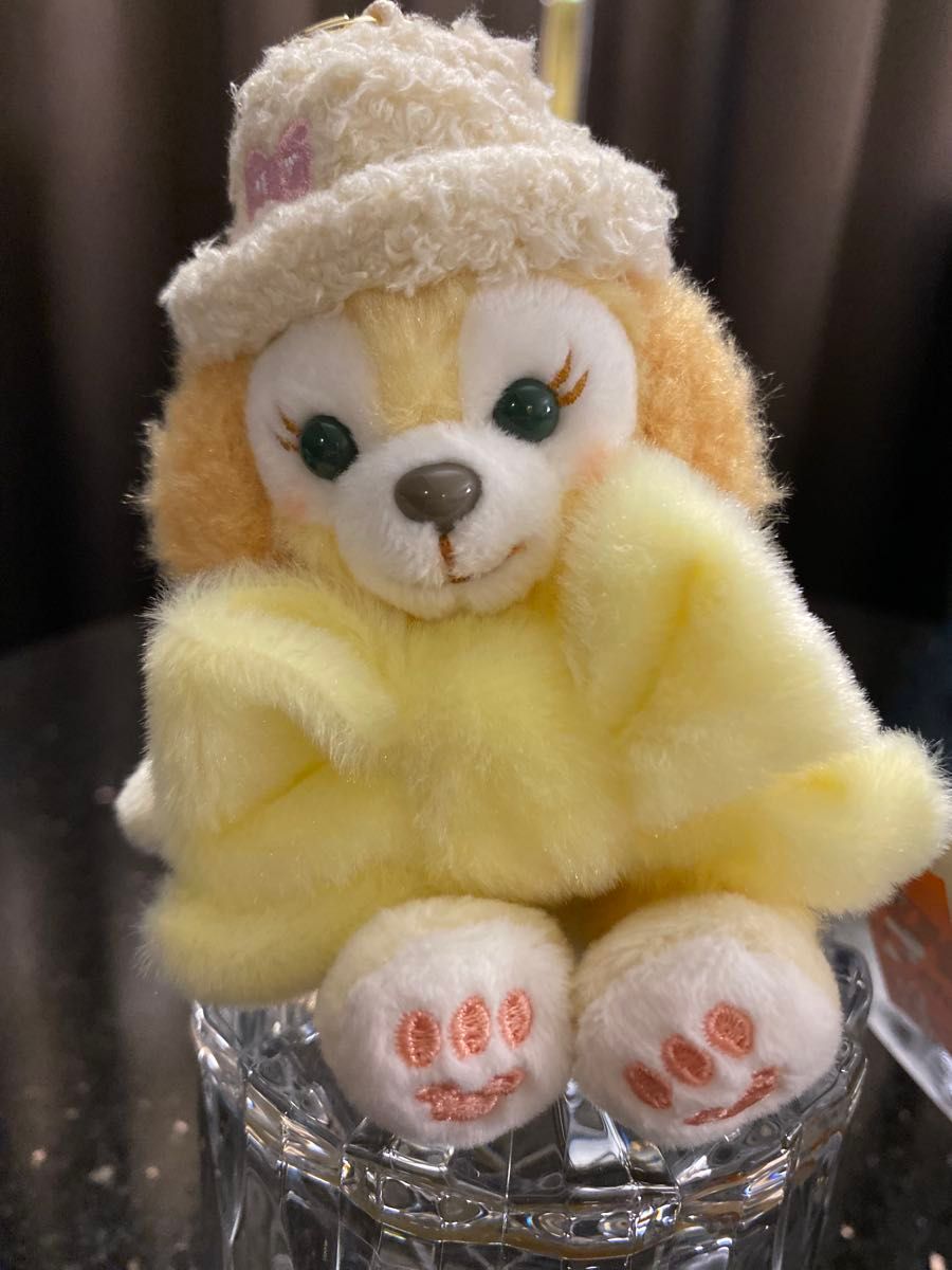 正規品未使用】香港ディズニー ダッフィーフレンズ クッキーアン 冬 お