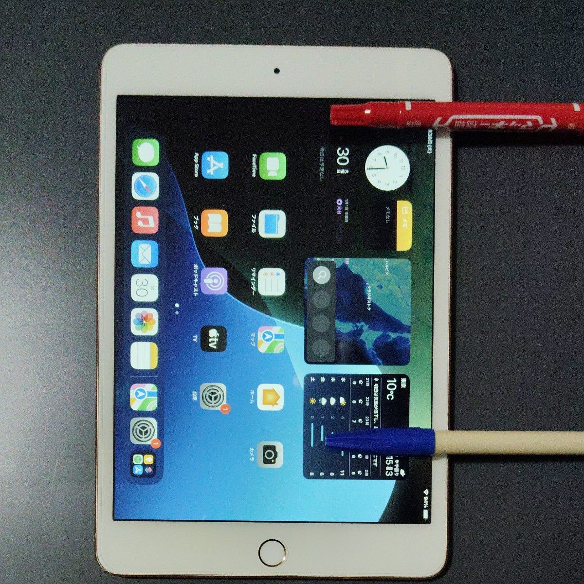 ジャンク ipad mini 5 世代 64GB cellular モデル｜Yahoo!フリマ（旧