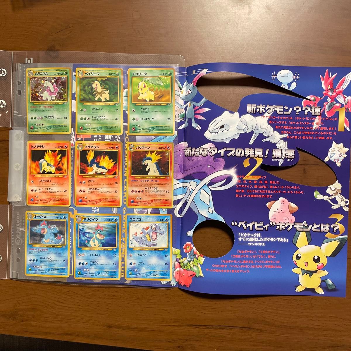ポケモンカード 旧裏面 ポケモンカードneo プレミアムファイル｜Yahoo