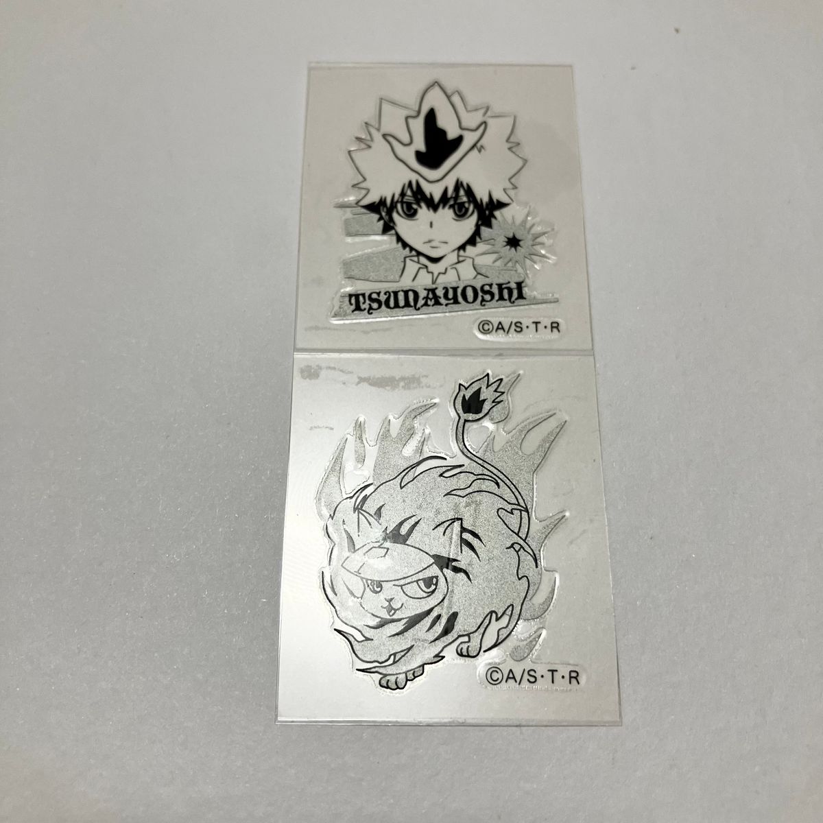家庭教師ヒットマンREBORN リアルペイントシート ツナ 沢田綱吉 ナッツ