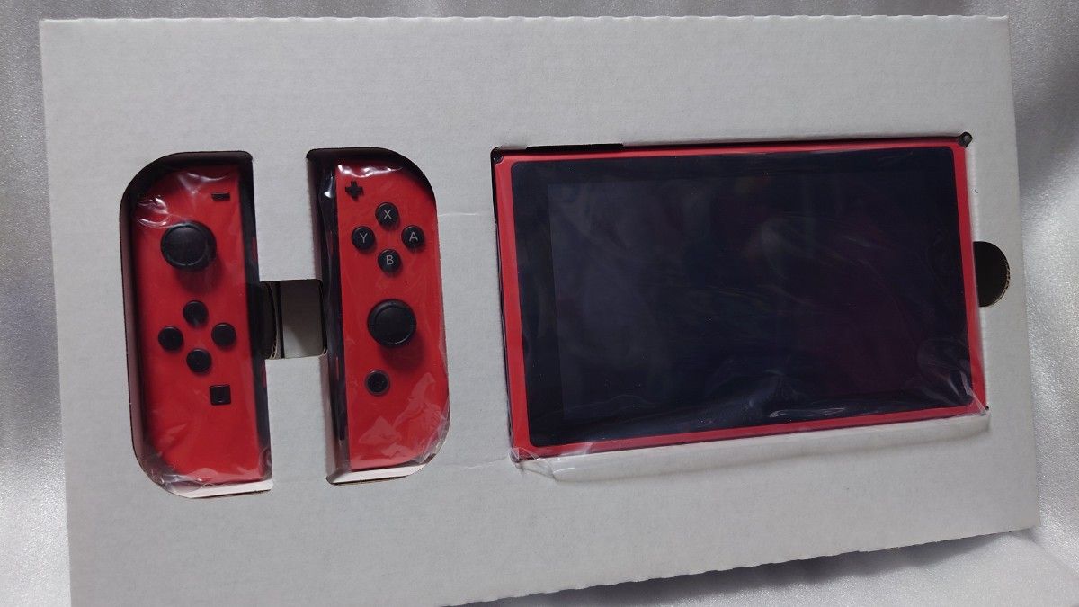 Nintendo Switch マリオレッド×ブルーセット キャリングケース・保護