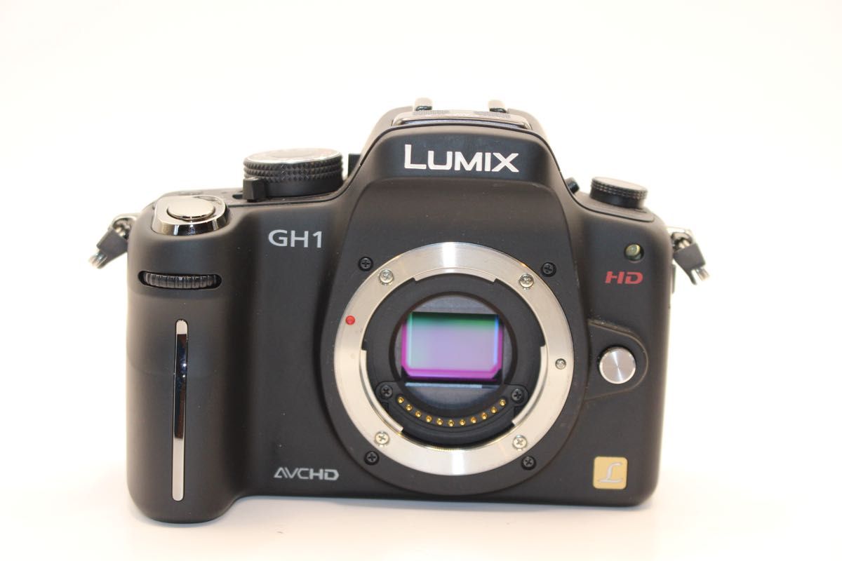 ショット数3993回 LUMIX DMC-GH1 ズームレンズキット ミラーレス