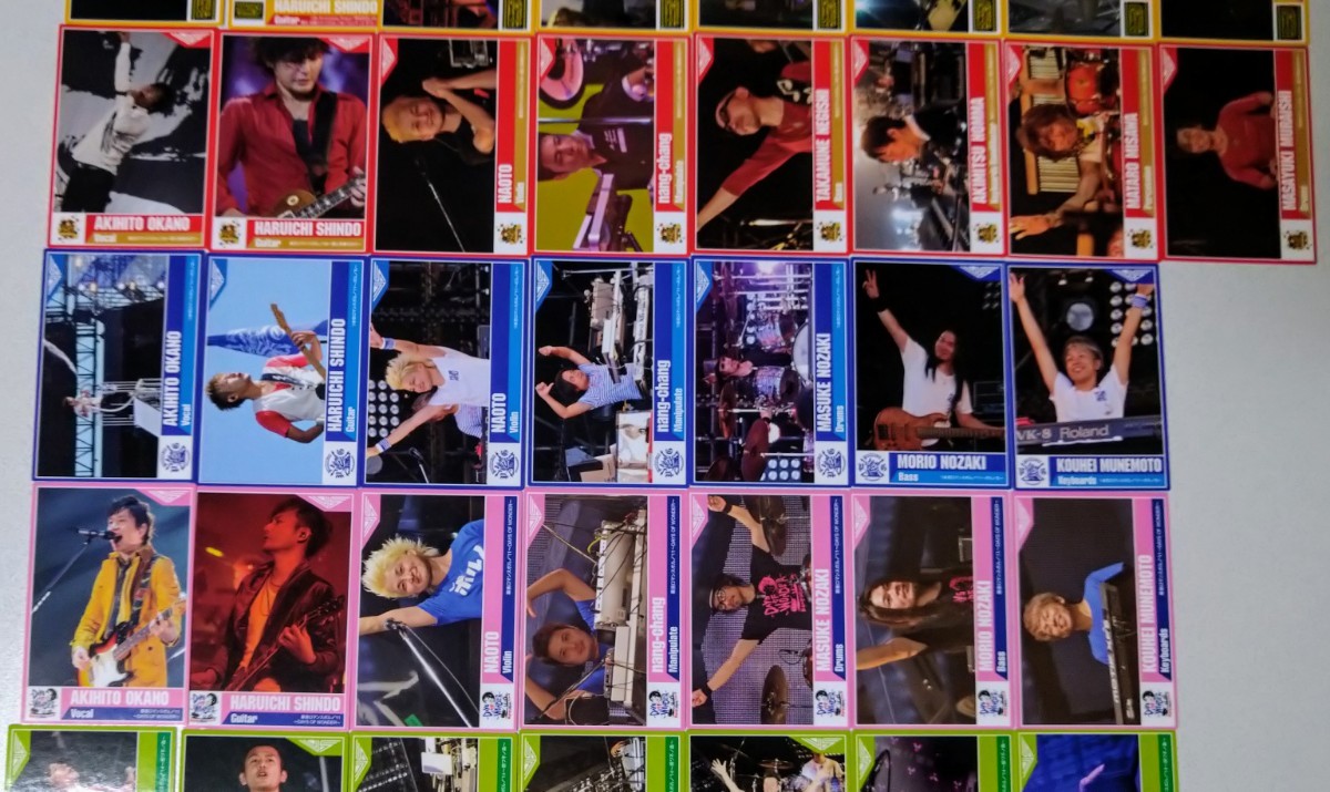 コンプリート 64枚 ポルノグラフィティ チップス カード ライブ グッズ