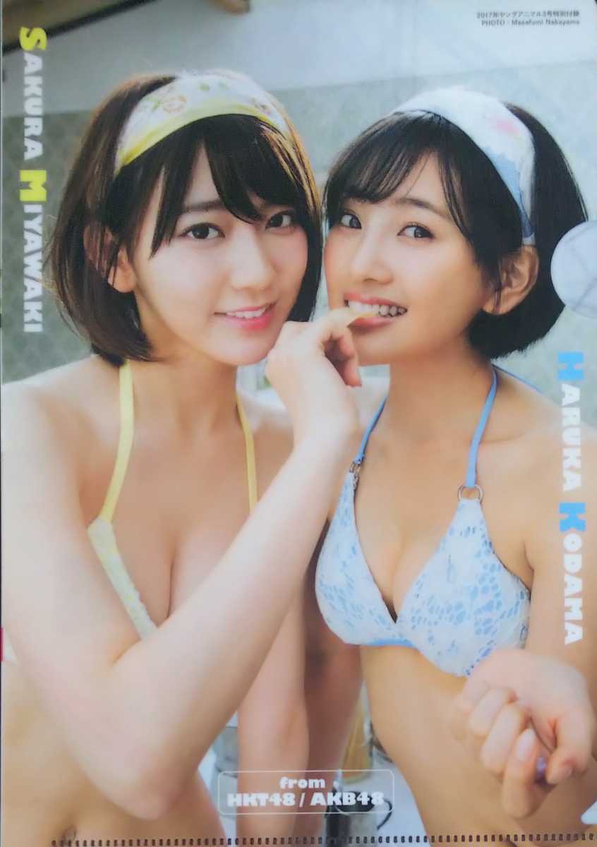Yahoo!オークション - 宮脇咲良 兒玉遥（B5）クリアファイル 同梱可